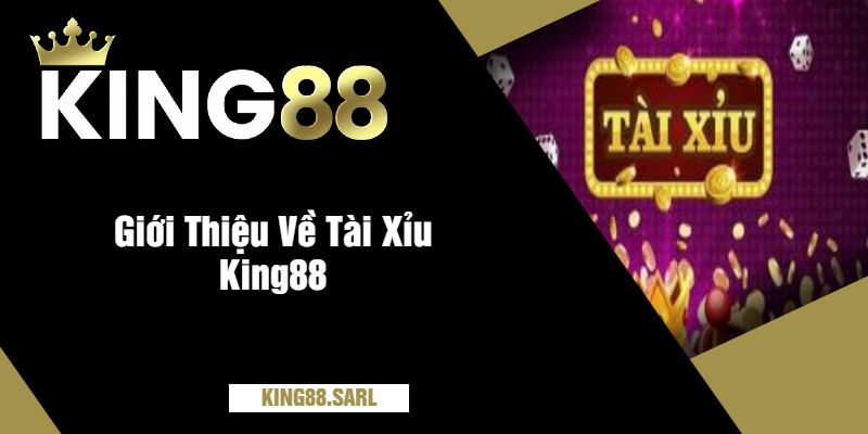 Giới Thiệu Về Tài Xỉu King88
